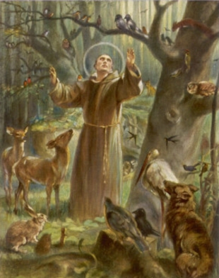 Preaching the gospel. St Francis addresses the animals.